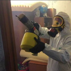 Уничтожение клопов в квартире. Солигалич